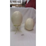 Two ostrich eggs.