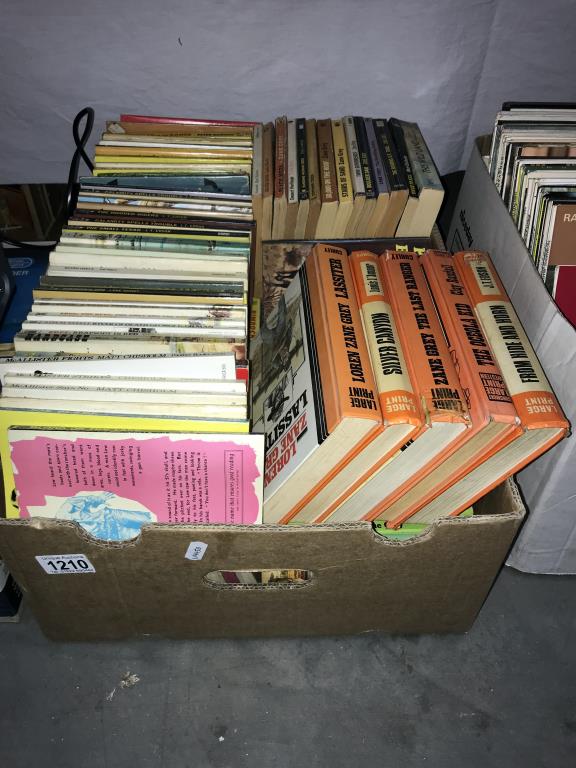 A good lot of vintage paperback books etc