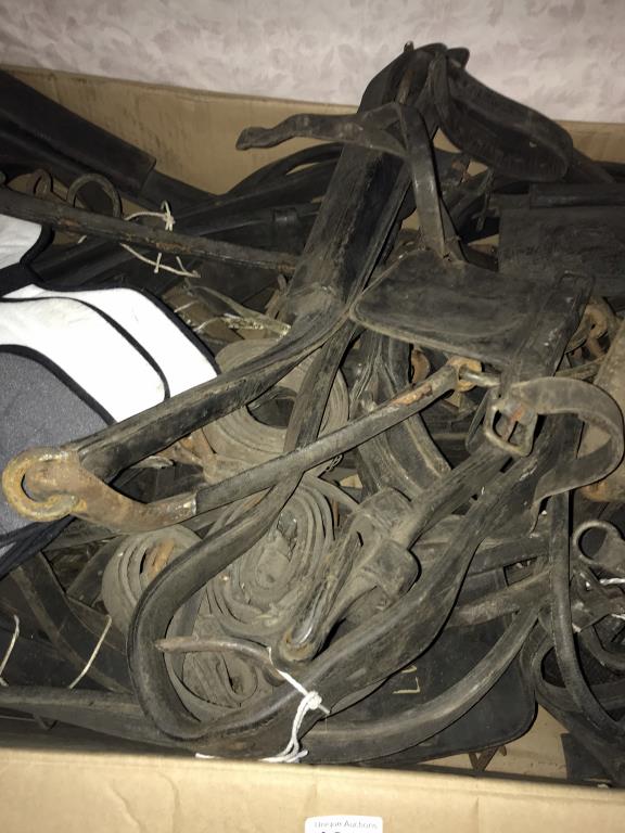 A large box of vintage horse leather straps - Image 3 of 4