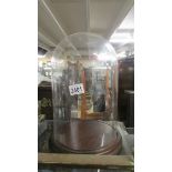 A glass dome on mahogany base, dome 22 cm diameter at base and 35 cm high, base 26 cm diameter.