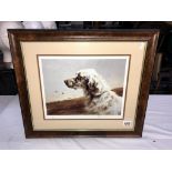 A limited edition print of an English Setter, no 80/500,