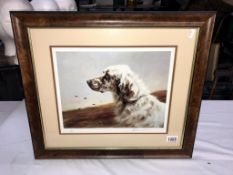 A limited edition print of an English Setter, no 80/500,