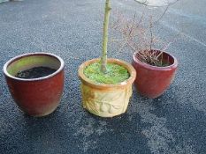 Three planters, approximately 40 cm diameter).