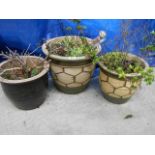 3 buff patterned terracotta garden pots (largest 38 cm diameter x 32 cm tall).