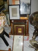 A large lot of old picture frames and a pencil drawing.