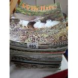 A quantity of 'World of Wildlife' magazines.
