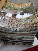 A quantity of 'World of Wildlife' magazines.