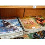 A quantity of Wildlife magazines.