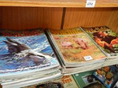 A quantity of Wildlife magazines.