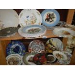 Two shelves of assorted plates.