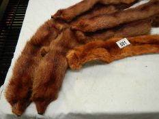 Three fox fur stoles.