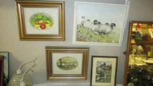 Four framed and glazed prints.