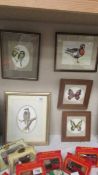 Three framed and glazed bird prints and two framed and glazed butterfly prints.