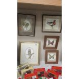 Three framed and glazed bird prints and two framed and glazed butterfly prints.