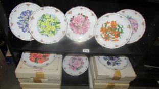 Eight boxed Royal Albert floral collector's plate.