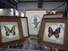 A good selection of bird and butterfly watercolours by T.