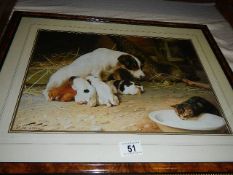 A framed and glazed print of dog with puppies