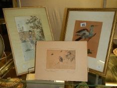 An unusual framed and glazed Chinese picture of a bird constructed with real feathers,