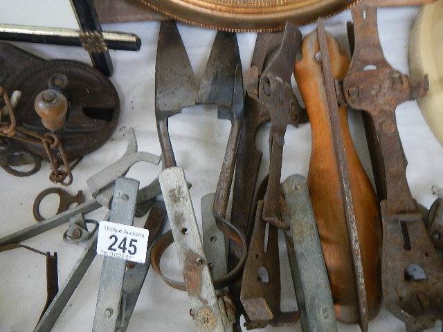 A quantity of vintage iron animal traps and a vintage Harras bean slicer etc. - Image 3 of 6