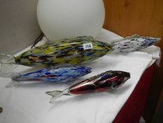 Four end of day glass fish.