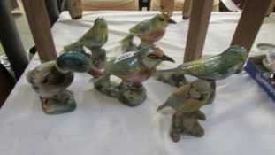 A collection of vintage ceramic birds including KSP Budgerigar, KSP Beefeater duck etc.