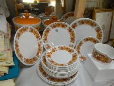 Approximately 25 pieces of Staffordshire retro dinner ware.