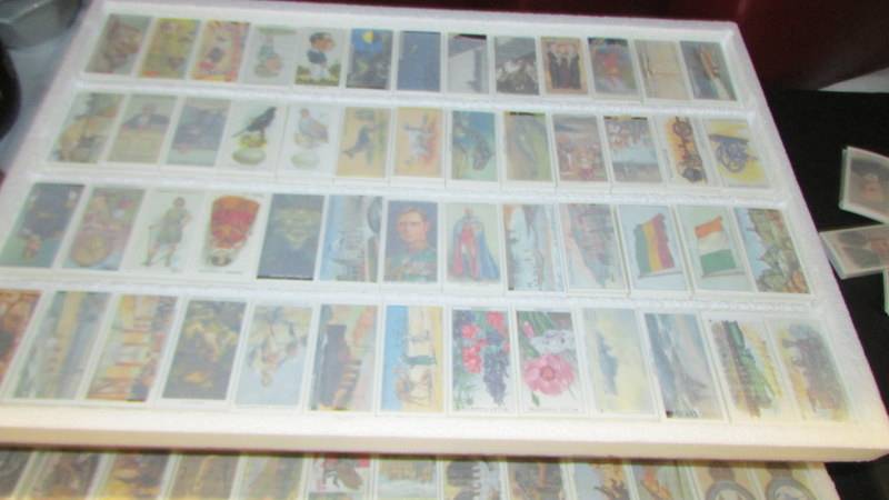 A large quantity of reproduction sets of cigarette cards and albums and card sleeves etc - Image 2 of 3