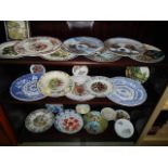 Three shelves of assorted collector's plates.