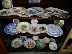 Three shelves of assorted collector's plates.