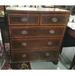 Georgian Mahogany Chest of Drawers, line inlaid with satinwood – 2 short drawers and 3 long