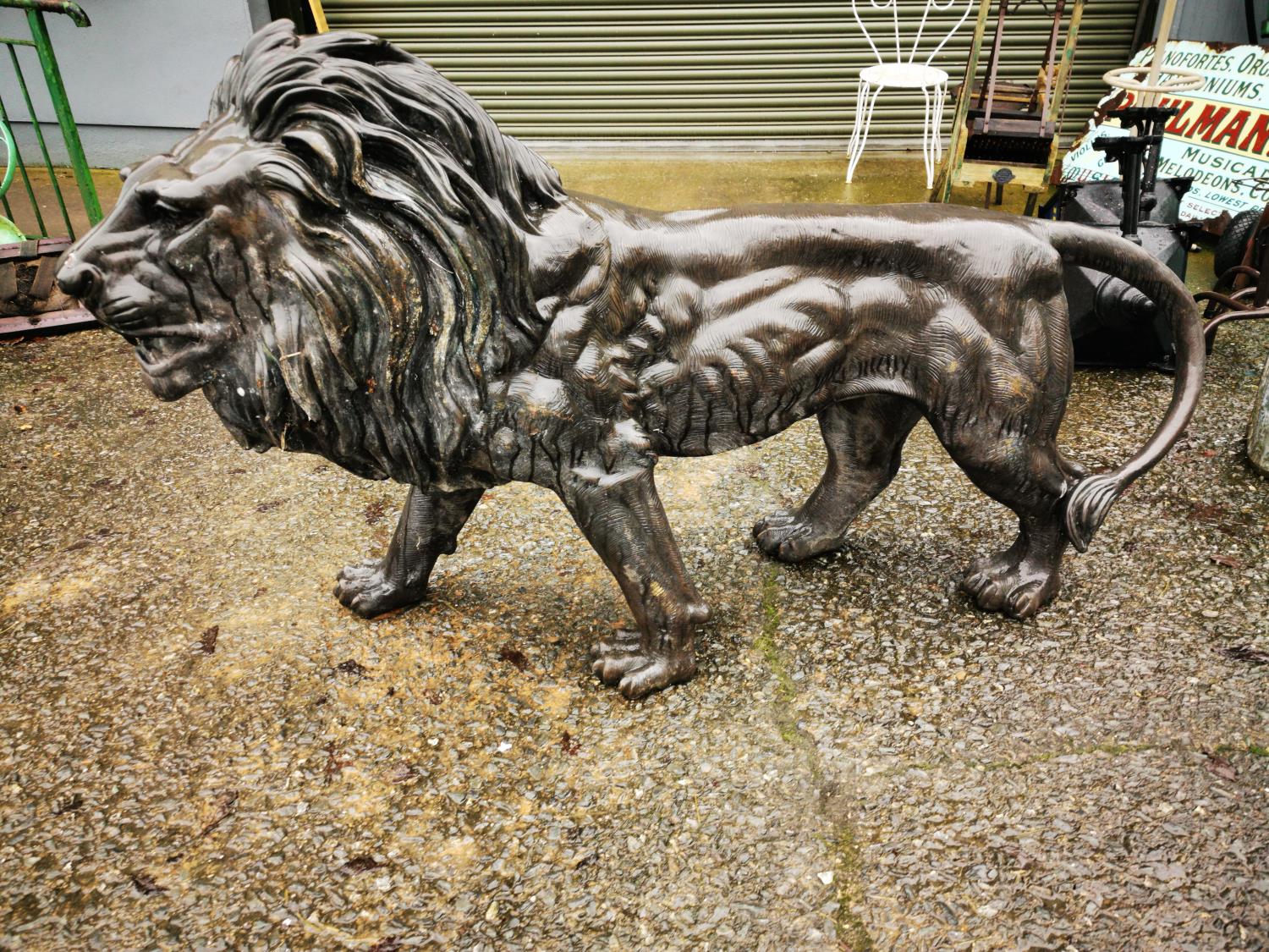 Bronze life size model of a Lion.