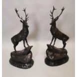 Pair of bronze stags on marble bases.