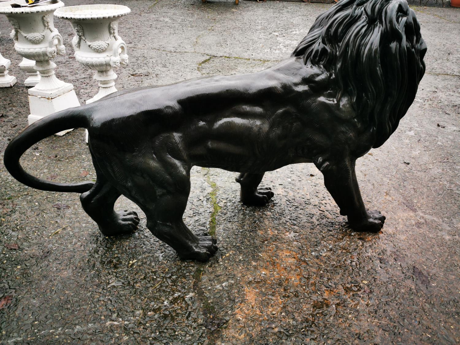 Bronze life size model of a Lion. - Image 3 of 3