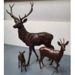 Set of three exceptional quality bronze Stag and Deer.