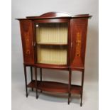 Edwardian mahogany display cabinet.