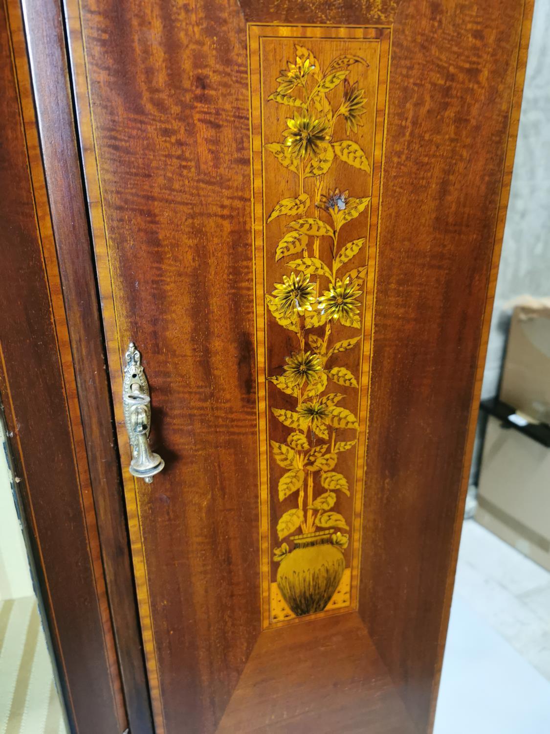 Edwardian mahogany display cabinet. - Image 2 of 4