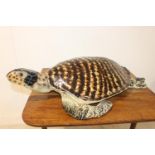 Resin model of a turtle.