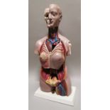 Ruberoid medical mannequin.