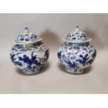 Pair of Oriental blue and white ceramic vases.