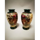 Pair of Oriental ceramic vases
