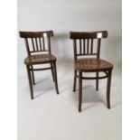 Pair of mid century bentwood side chairs