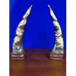 Pair of Asian horns mounted on hardwood bases, carved and embellished with birds and serpents W 13 H