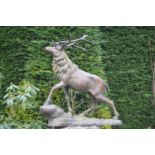 Bronze sculpture of a stag on rocky ground W 100 H 110 D 40