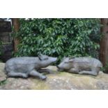 Pair of bronze seated piglets W 50 H 23 D 20