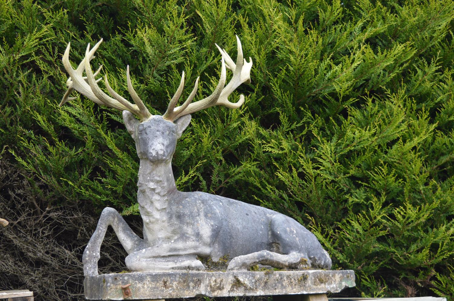 19th C. sandstone figure of a stag.