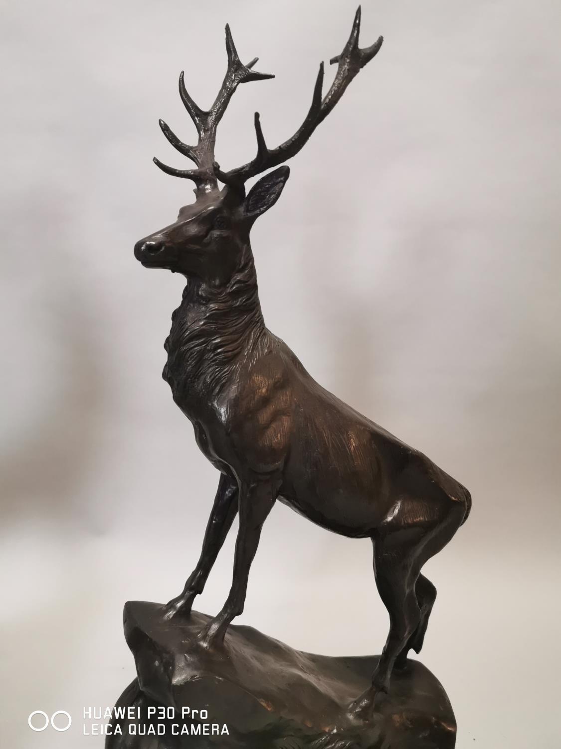 Pair of bronze stags. - Image 5 of 6