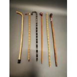 Collection of seven walking sticks.