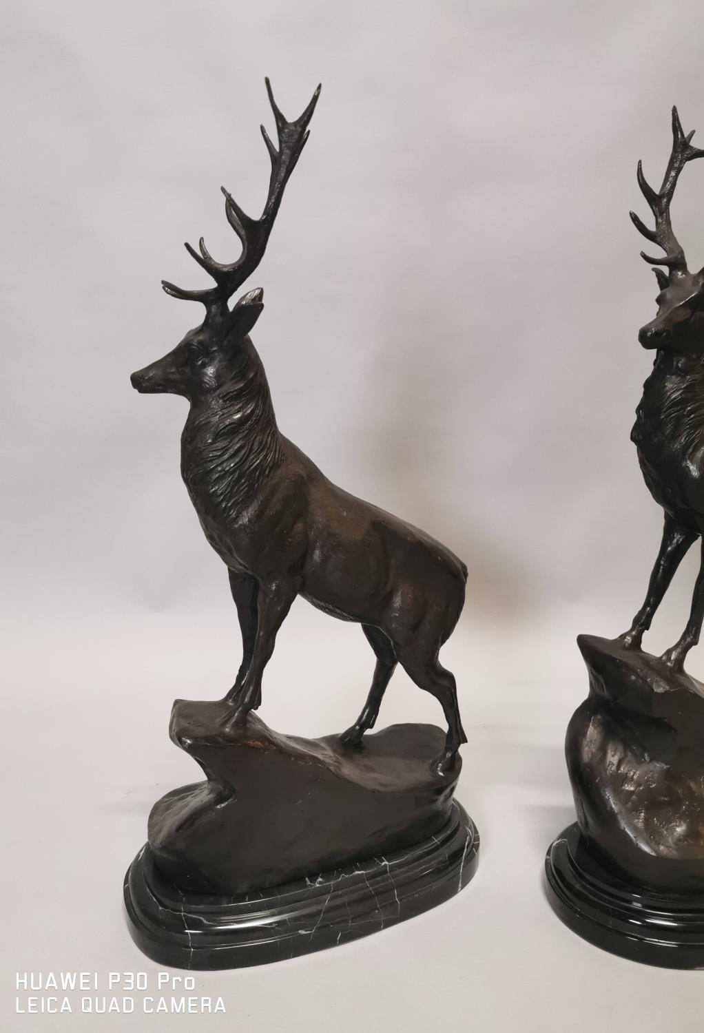 Pair of bronze stags. - Image 6 of 6