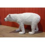 White Polar Bear