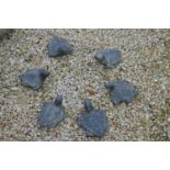 Set of six composition tortoises